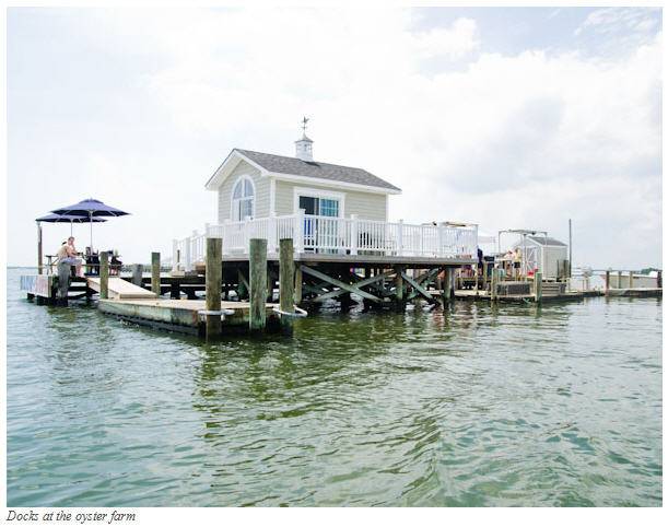 Blue Island Oyster Company docks